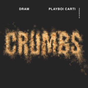 Crumbs-DRAM