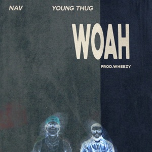 WOAH-NAV